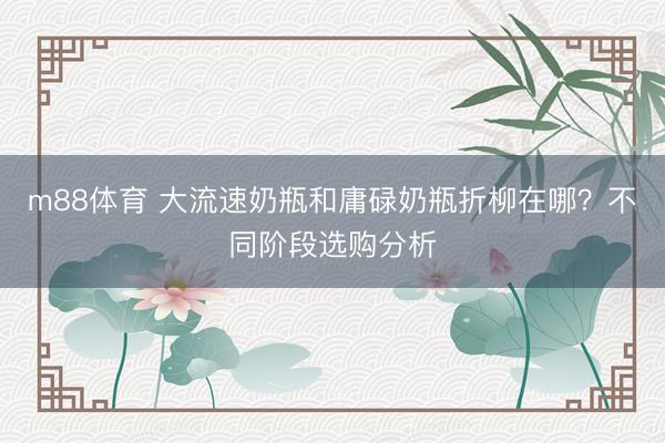 m88体育 大流速奶瓶和庸碌奶瓶折柳在哪？不同阶段选购分析