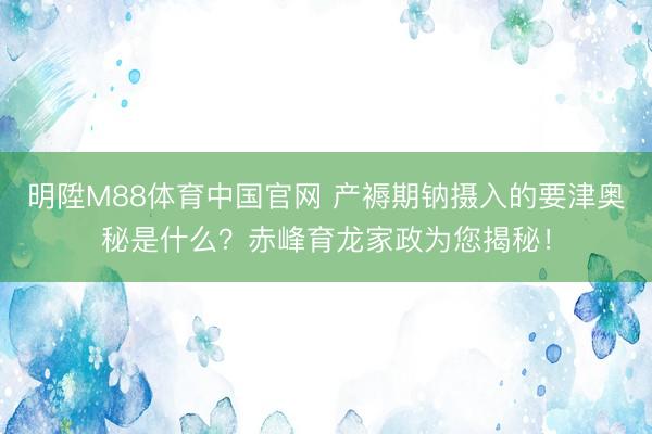 明陞M88体育中国官网 产褥期钠摄入的要津奥秘是什么？赤峰育龙家政为您揭秘！