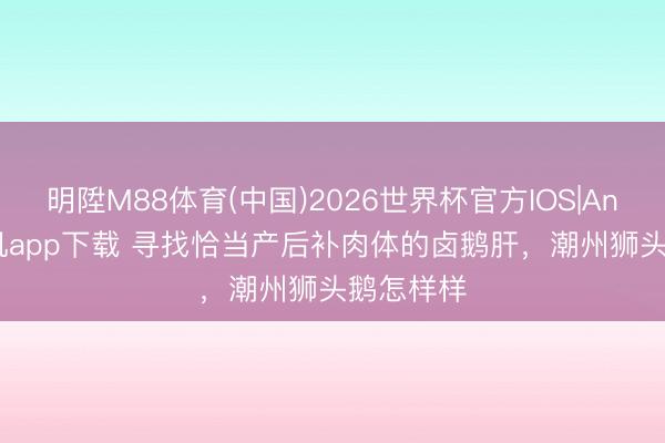 明陞M88体育(中国)2026世界杯官方IOS|Android手机app下载 寻找恰当产后补肉体的卤鹅肝，潮州狮头鹅怎样样