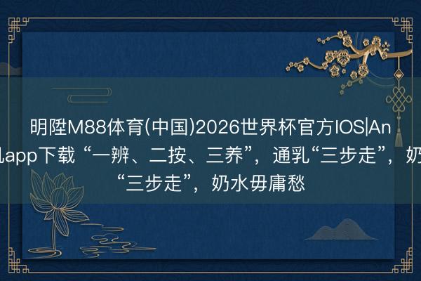 明陞M88体育(中国)2026世界杯官方IOS|Android手机app下载 “一辨、二按、三养”，通乳“三步走”，奶水毋庸愁