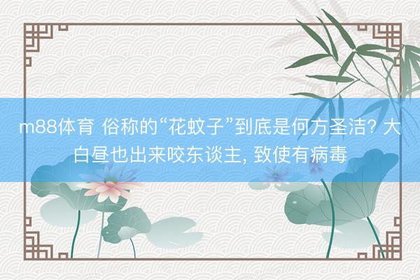 m88体育 俗称的“花蚊子”到底是何方圣洁? 大白昼也出来咬东谈主， 致使有病毒