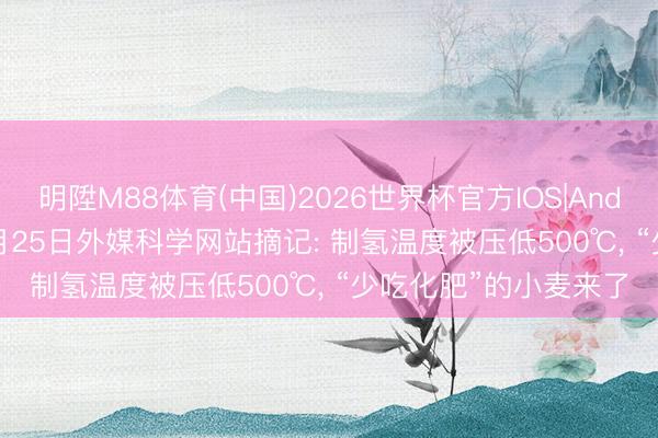 明陞M88体育(中国)2026世界杯官方IOS|Android手机app下载 5月25日外媒科学网站摘记: 制氢温度被压低500℃， “少吃化肥”的小麦来了