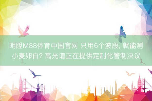 明陞M88体育中国官网 只用6个波段， 就能测小麦卵白? 高光谱正在提供定制化管制决议