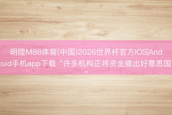 明陞M88体育(中国)2026世界杯官方IOS|Android手机app下载 “许多机构正将资金撤出好意思国”