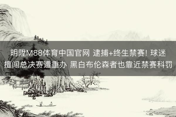 明陞M88体育中国官网 逮捕+终生禁赛! 球迷擅闯总决赛遭重办 黑白布伦森者也靠近禁赛科罚