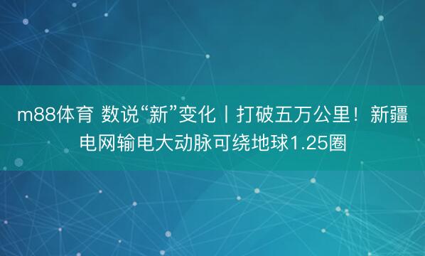 m88体育 数说“新”变化丨打破五万公里！新疆电网输电大动脉可绕地球1.25圈