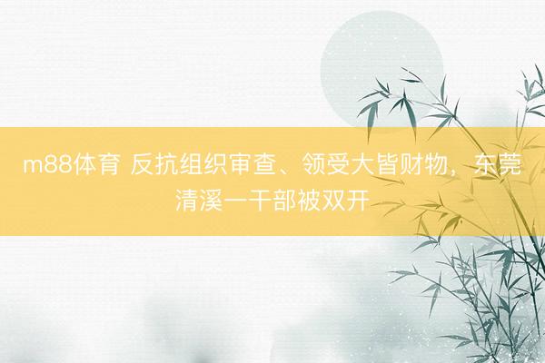 m88体育 反抗组织审查、领受大皆财物，东莞清溪一干部被双开