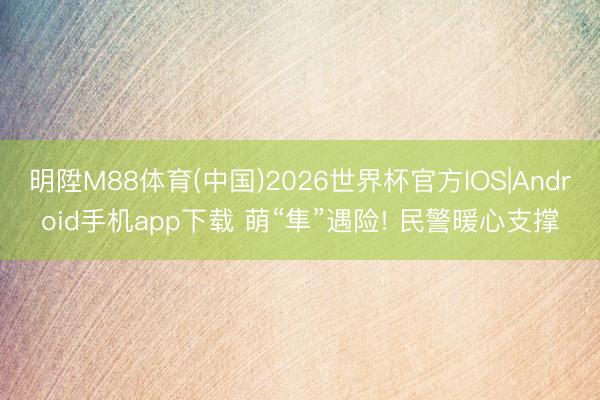 明陞M88体育(中国)2026世界杯官方IOS|Android手机app下载 萌“隼”遇险! 民警暖心支撑